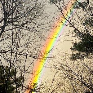 Meet your Posher, Ariane